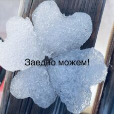 Местни инициативни групи – Процедура № BG06AFSP001-1.003 за сътрудничество и тяхната подготовка по СПРЗСР 2023-2027 г.